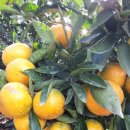 민균농장 이미지