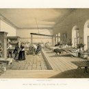 여왕과 나이팅게일 이미지