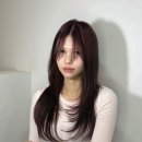 라즈베리 염색 (하나비헤어 전주객사점 아라디자이너)