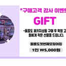오징어여행사 이미지