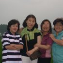 일동싸이판 이미지