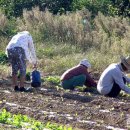 해남섬민박 이미지