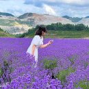 동해시-58 이미지