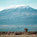 킬리만자로 이미지