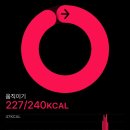 하루운동 이미지