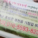 광천다농농장 이미지