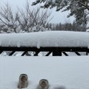 테라스펜션 이미지