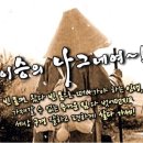 우리는 나그네 인생이다 이미지