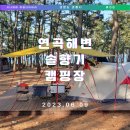 바다캠핑장 연곡 솔향기 캠핑장 A존 후기