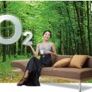 서희학원 이미지