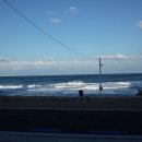 블루필드 | W06. 웨딩 밴드에 대한 고찰/어떻게 시작해야될지 고민된다면..!