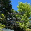 천대국치길 네이버블로그