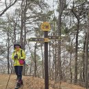 인천대공원역 Daum카페