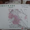 생각나니 Daum카페