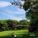 CC카써비스 이미지