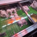 영성상회 이미지