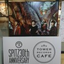 메사팝콘 이미지