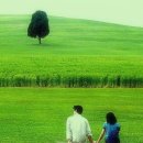 Serenity a 이미지