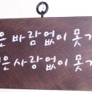 오데이지 이미지
