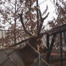 말코농장 이미지