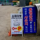 더펫미용실 이미지