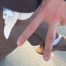 천원의 행복한 저녁콘서트 시즌3 힐링&필링 | ꒰১띄어쓰기를하지않는이유는감자를향한내마음이여백없이빽빽해서야໒꒱