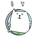 까사멜로우B