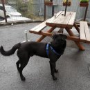 닥터페티앙동물병원 이미지