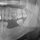 365안락한치과의원 이미지
