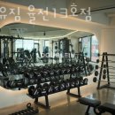 더블유짐율전1 이미지