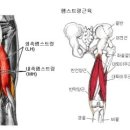 DS휘트니스센터 용운점 이미지