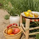 (주)프루 이미지