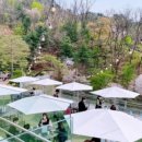 아델라베일리 네이버블로그