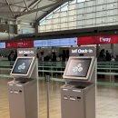 281 | 오키나와 항공권 태교여행 티웨이항공 후기 TW281 TW280