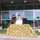 대마2리 이미지