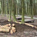 절물생태관리소 (절물자연휴양림) 이미지