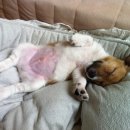 (주)두리에너지 이미지