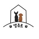 스테이 댕쥬르 이미지