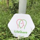 더 쉐어 서울 이미지