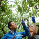 경북통상 농산물 산지유통센터 | [주간 농어업 뉴스] 이재명 정부 100일 농정 청사진 공개, 현장의 기대와 우려(9/15~9/21)