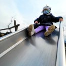 양평양떼목장 이미지