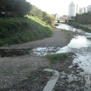 동막천자전거길 이미지