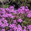 명지부동산중개법인(주) 이미지