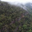 숲이그린집 이미지