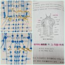 고려수지요법학회 이미지