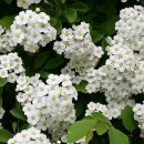 왕소(부평점) 이미지