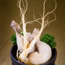 밀레니엄 이미지