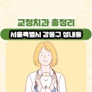 아틀라스치과의원 | 서울특별시 강동구 성내동 교정치과 총정리