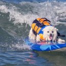 저스트킵고잉 이미지