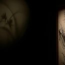 꽃과나무 이미지